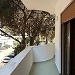 Under Pines - * Golem (Tirana)