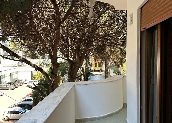 Under Pines - * Golem (Tirana)